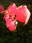 sept2008 207